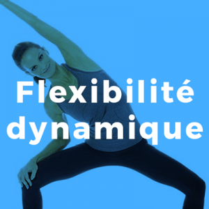 Flexibilité dynamique